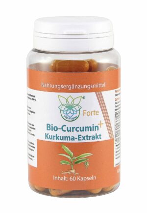 VITARAGNA Curcumin Forte – Kurkuma, 60 Kapseln