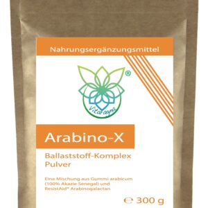 VITARAGNA Arabino-X Ballaststoff-Komplex als Pulver aus ResistAid Arabinogalactan, Guargummi und Gummi Arabicum (100% Akazie Senegal) - für die Darmflora und Darm-Bakterien, 300g, niedriges FODMAP