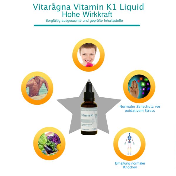 VITARAGNA Vitamin K1 Tropfen flüssig, Phytomenadion K-Tropfen - hochdosiertes Liquid in Oliven-Öl gelöst, 30 ml, 480 Tagesdosen
