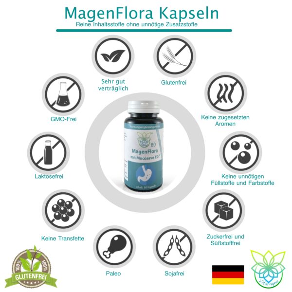 VITARAGNA Magen Flora mit MUCOSAVE™FG – Unterstützung Magen Schleimhaut - Natürliche Extrakte – 80 Kapseln – Ohne Zusatzstoffe