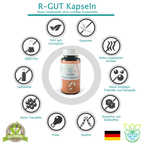 VITARAGNA R-GUT Ribodiet® Nukleotide – 60 Kapseln – Mit L-Glutamin und Nukleotiden – Ohne Zusatzstoffe – 50g