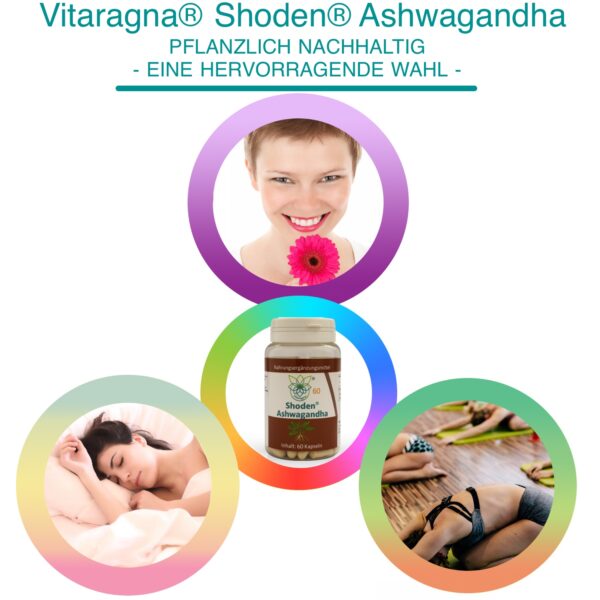 Vitaragna Shoden® Ashwagandha mit Withanolide – 60 vegane Kapseln, hochkonzentrierter Ashwagandha-Extrakt mit moderner Extraktion, HPMC-Kapseln