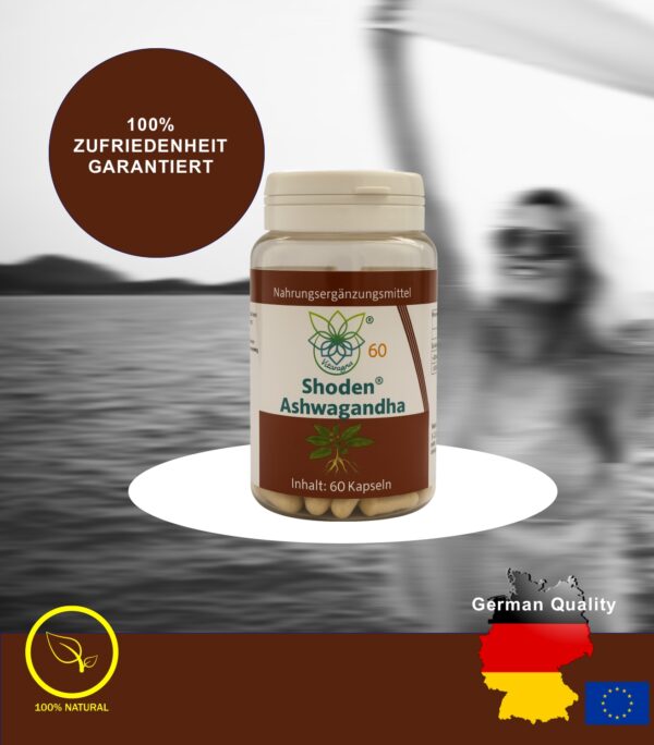 Vitaragna Shoden® Ashwagandha mit Withanolide – 60 vegane Kapseln, hochkonzentrierter Ashwagandha-Extrakt mit moderner Extraktion, HPMC-Kapseln