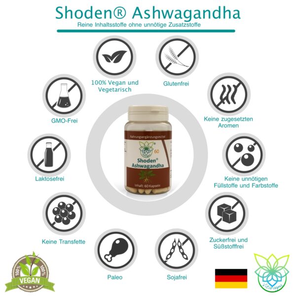 Vitaragna Shoden® Ashwagandha mit Withanolide – 60 vegane Kapseln, hochkonzentrierter Ashwagandha-Extrakt mit moderner Extraktion, HPMC-Kapseln