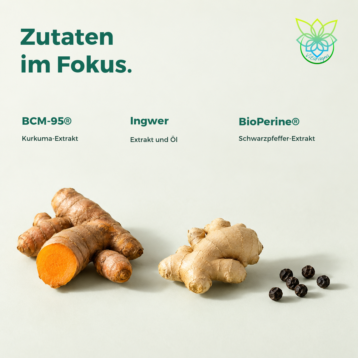 VITARAGNA® Curcumin Forte – Kurkuma, 60 Kapseln – Bild 3