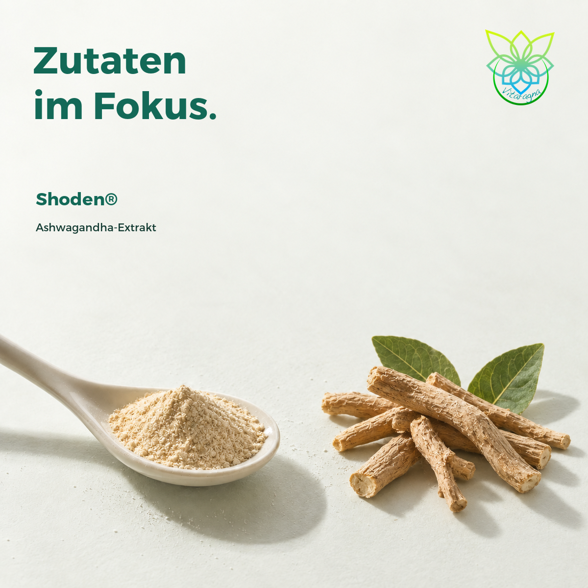 VITARAGNA® Shoden® Ashwagandha, 60 Kapseln – Bild 3
